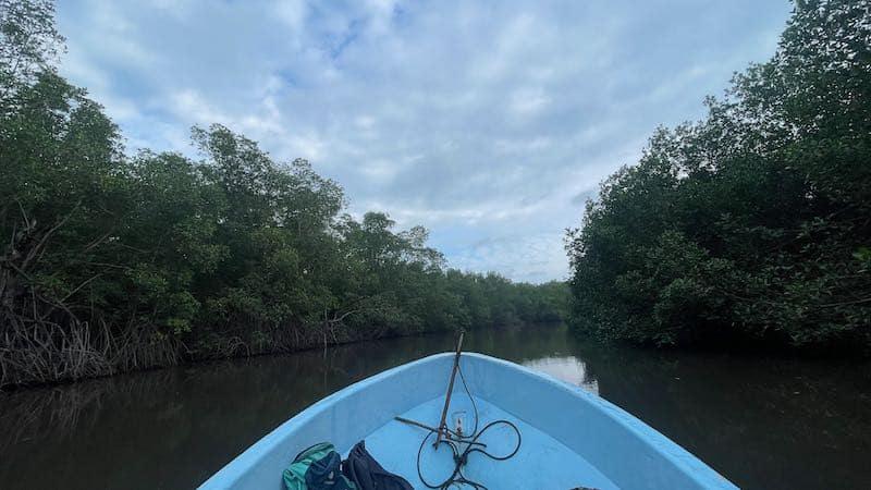 The boat glides through the mangroves near Las Penitas Beach in Nicaragua, on the way to the turtle hatchery at Juan Venado Reserve.