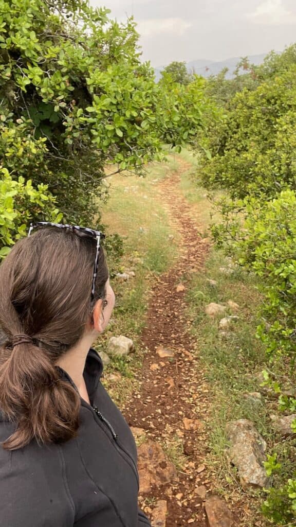 Selfie of me on a hiking trail in the Ajloun Forest in Jordan. I'm facing away from the camera, so you can only see the back of my head. The trail is a narrow dirt path surrounded by green trees and bushes.